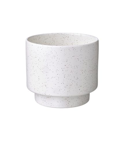 گل دراکفروکت - تصویر 2