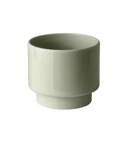 گل دراکفروکت - تصویر 3